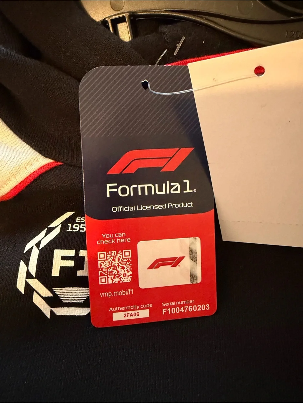 Formula 1 Kids Black Racing Hoodie- MIAMI detail on back